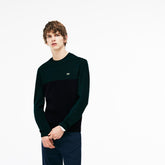 Men's Crew Neck Ribbed Wool Sweater / Lacoste