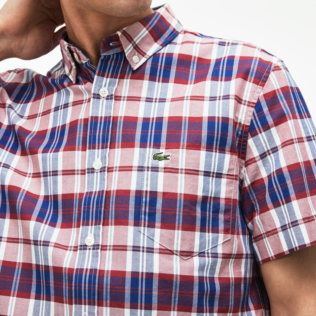 Men's Regular Fit Check Oxford Shirt / Lacoste