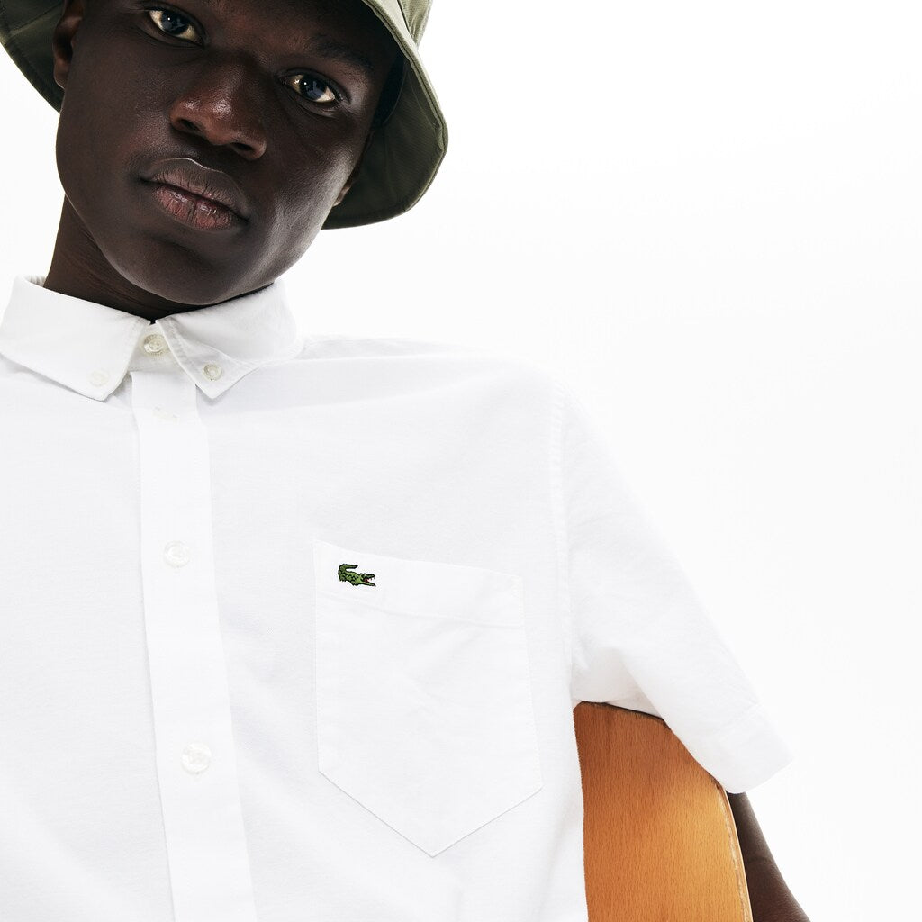 Men's Regular Fit Oxford Cotton Shirt / Lacoste