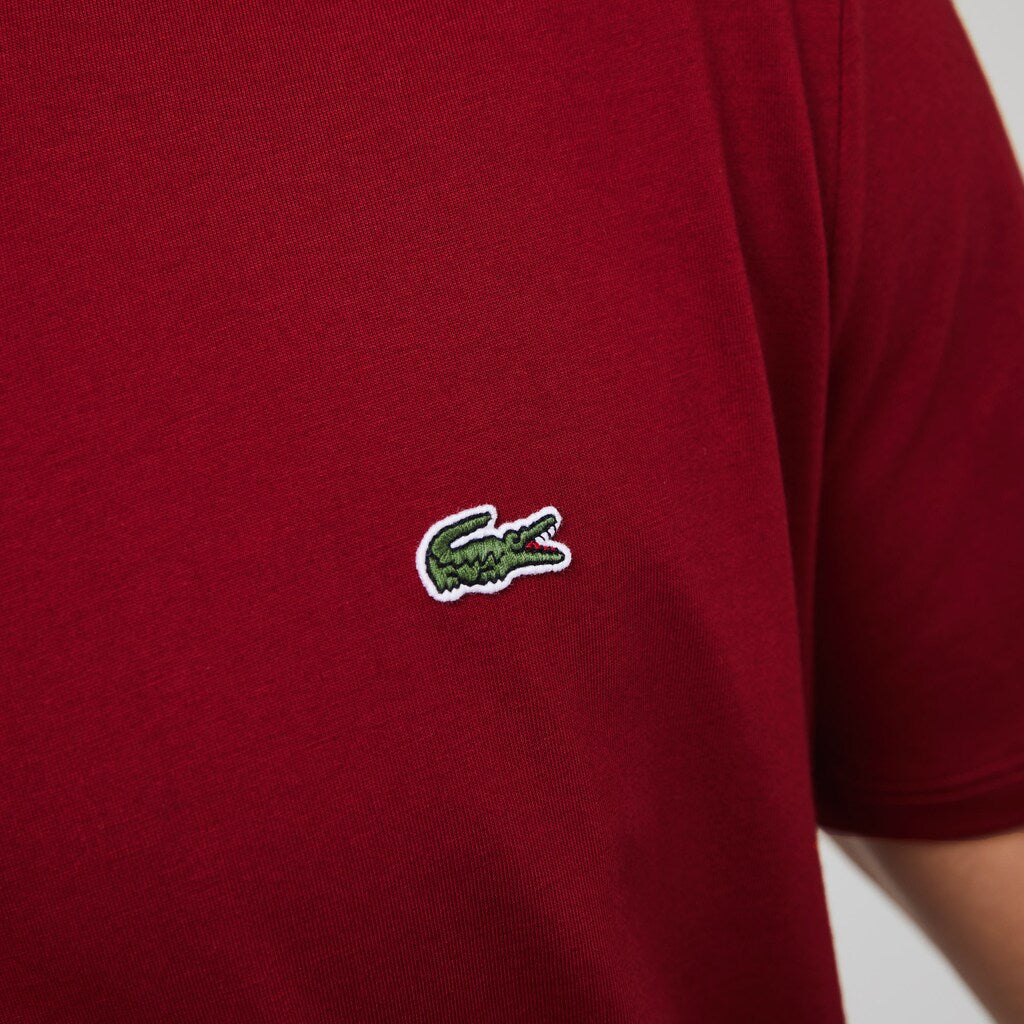 Men's V-neck Pima Cotton T-shirt / Lacoste