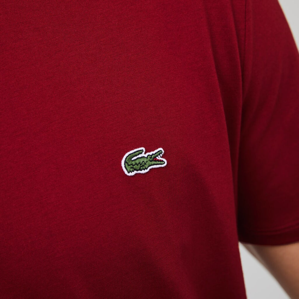 Men's V-neck Pima Cotton T-shirt / Lacoste