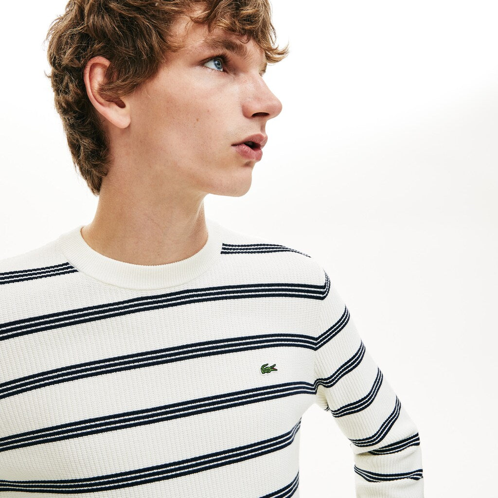 Men's Crewneck Pinstriped Wool and Cotton Sweater / Lacoste