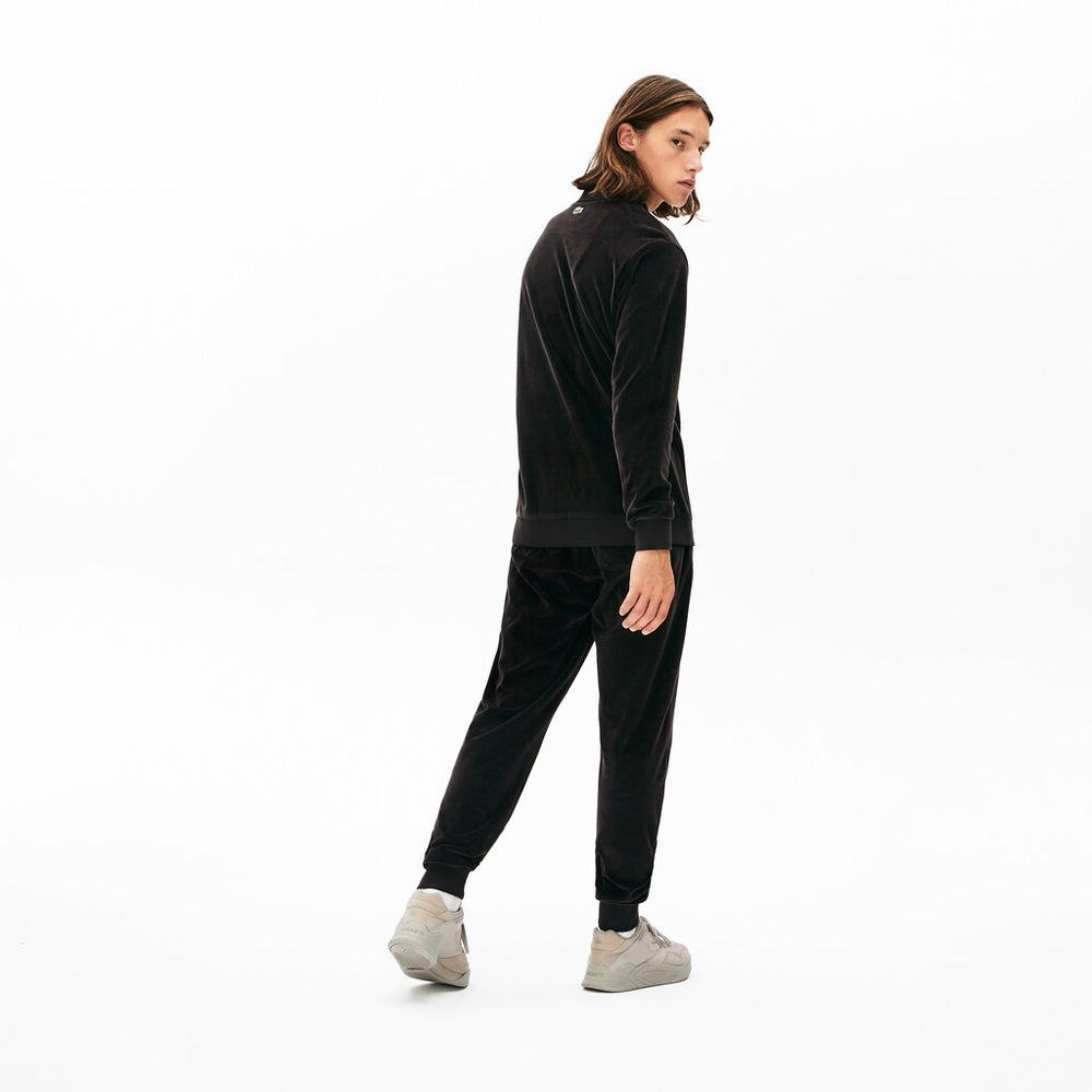 Men's LIVE Golden Signature Velvet Sweatpants / Lacoste