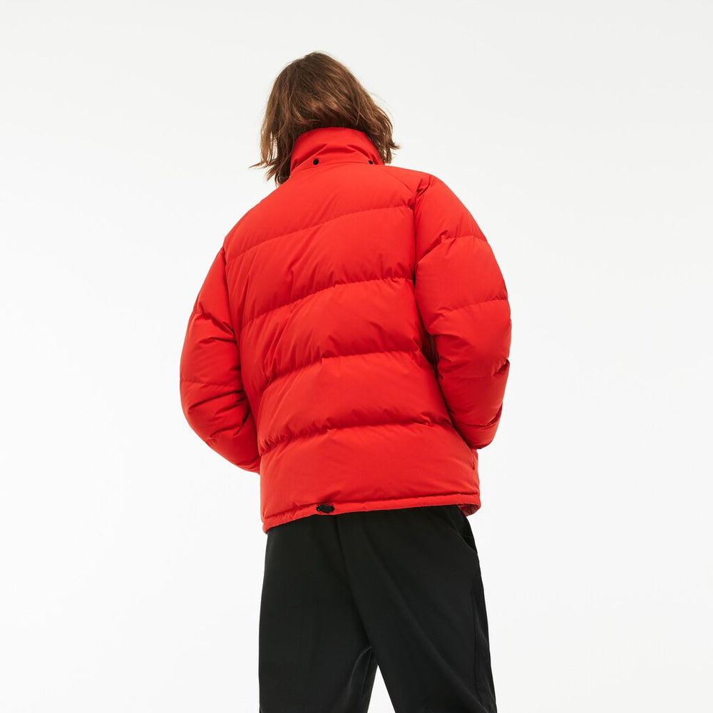 Men's LIVE Short Water-Resistant Taffeta Quilted Jacket / Lacoste