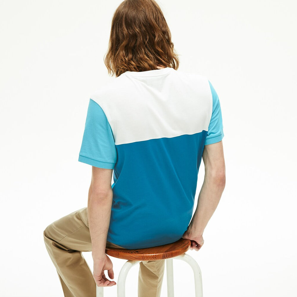 Men's Colorblock Regular Fit Cotton Jersey T-shirt / Lacoste
