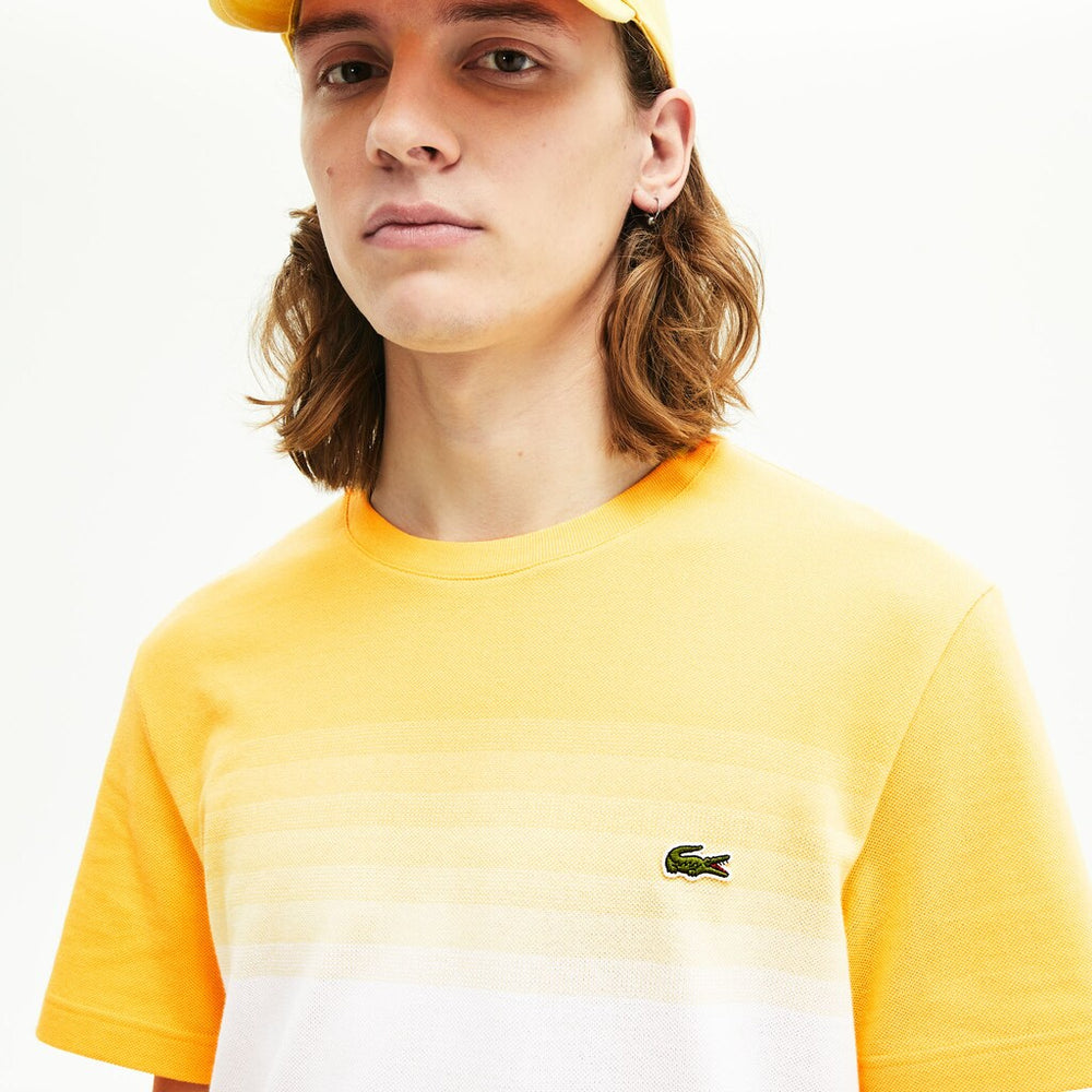 Men's Made in France Cotton Piqué Cotton Crew Neck T-shirt / Lacoste