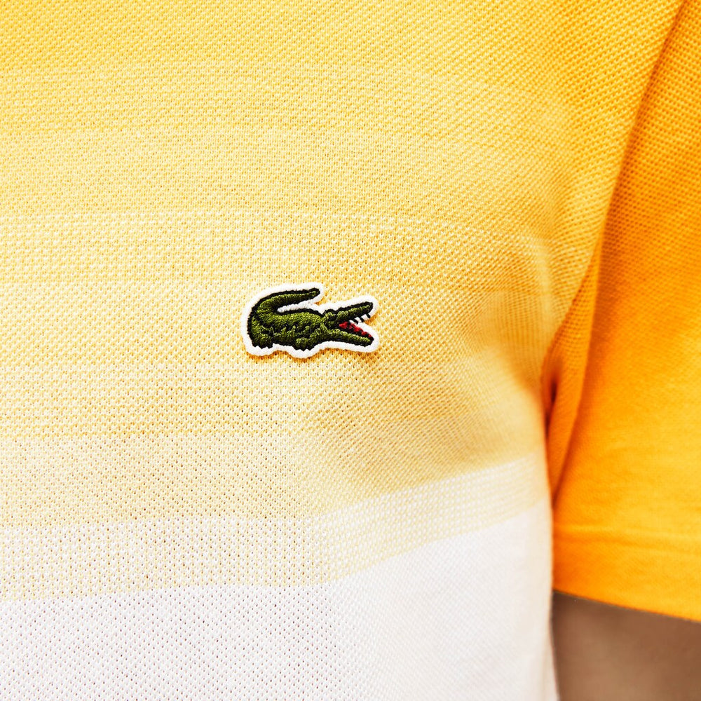 Men's Made in France Cotton Piqué Cotton Crew Neck T-shirt / Lacoste