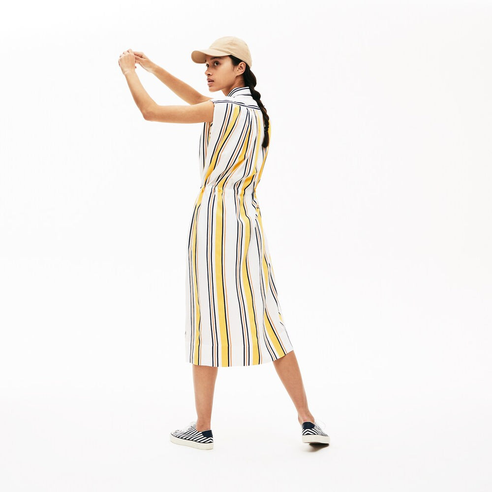 Women's Long Striped Shirtdress / Lacoste