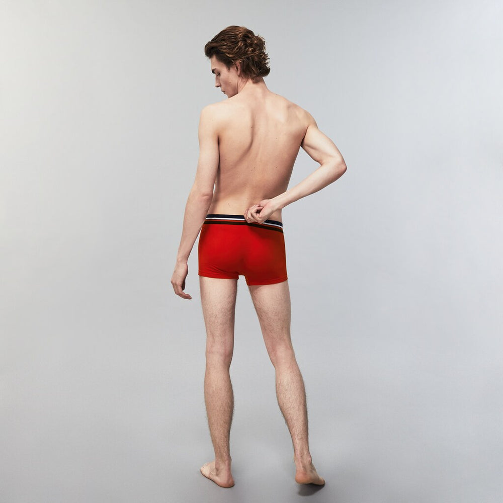 Pack Of 3 Iconic Boxer Briefs With Three-Tone Waistband / Lacoste