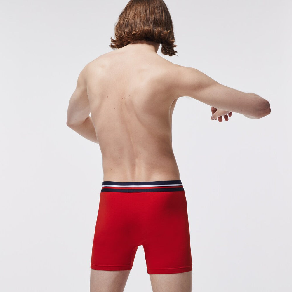 Pack Of 3 Casual Boxers / Lacoste