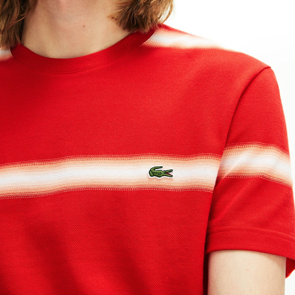 Men's Made in France Striped Cotton Piqué Crew Neck T-shirt / Lacoste
