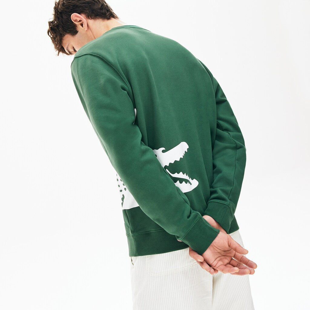 Men's Oversize Croc Crew Neck Cotton Sweatshirt / Lacoste