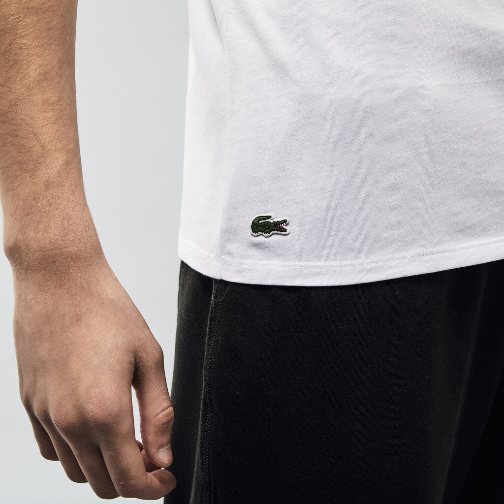 Men's 3 Pack of Plain T-Shirts / Lacoste