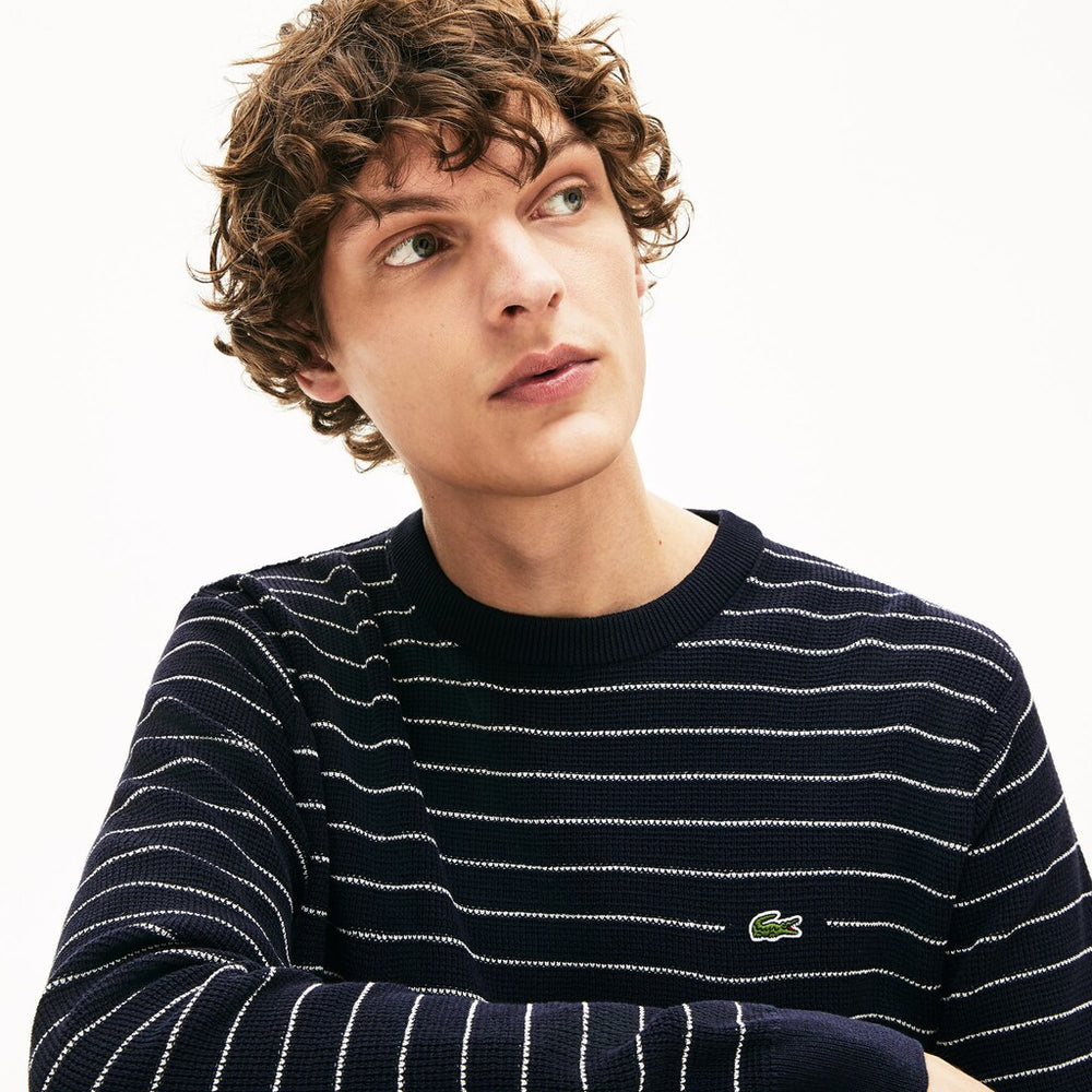 Men's Striped Textured Cotton Sweater / Lacoste